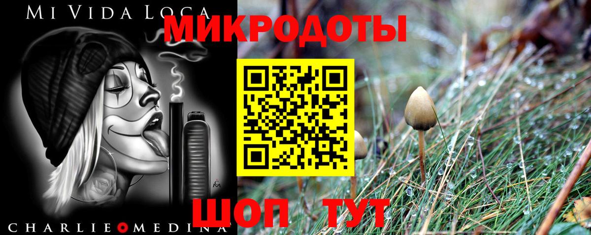 купить   Псилоцибиновые грибы Magic Shrooms  Псилоцибиновые грибы Cubensis  Вход с VPN  Каменка 